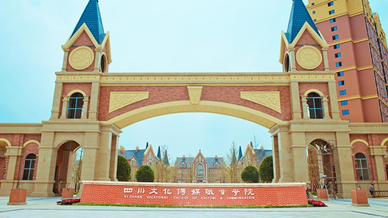误区一：过度依赖单一媒介